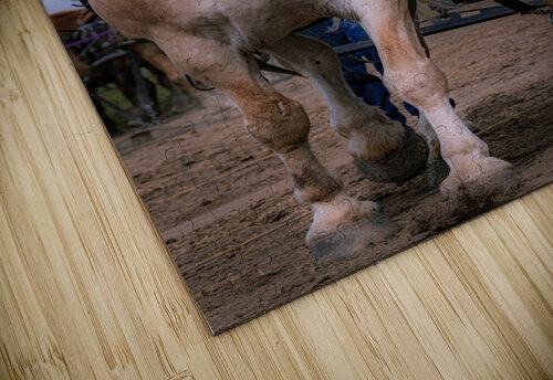 Teamwork Kevin MacLellan puzzle