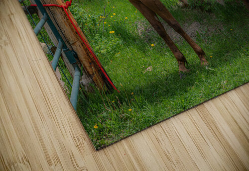 Ready to Ride Kevin MacLellan puzzle