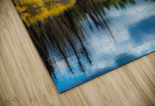 Beaver Pond Kevin MacLellan puzzle