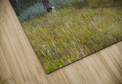 Evening Walk Kevin MacLellan puzzle