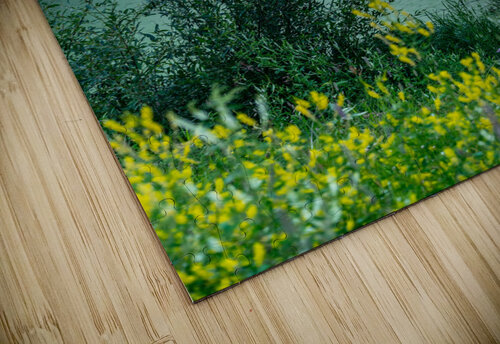 Green Pond Kevin MacLellan puzzle