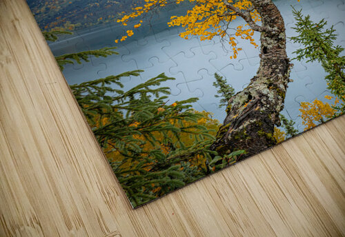 Lake Azouzetta Kevin MacLellan puzzle