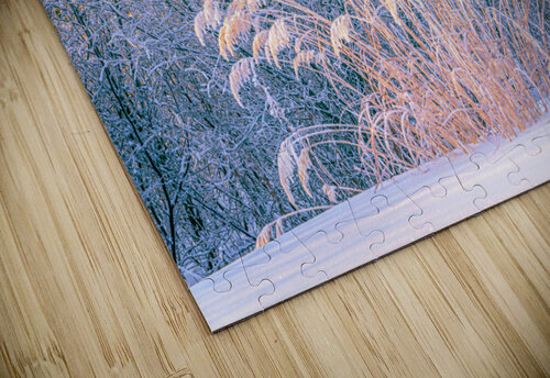Natural Arrangement Kevin MacLellan puzzle