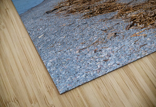 Newcastle Beach Kevin MacLellan puzzle