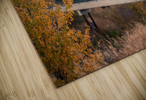 On the Bridge Kevin MacLellan puzzle