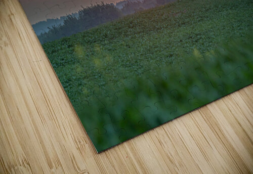Setting Sun Kevin MacLellan puzzle