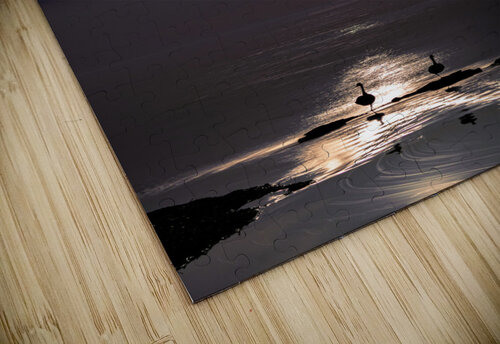 The Eclipse Kevin MacLellan puzzle