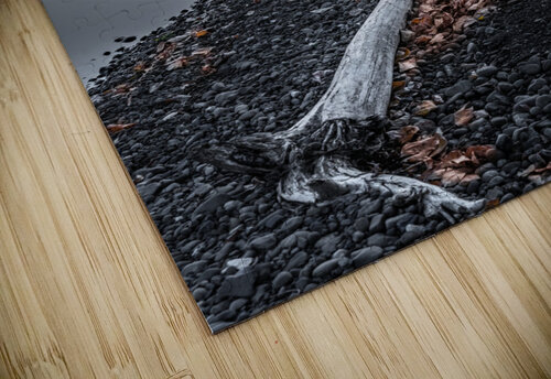 The Shoreline Kevin MacLellan puzzle