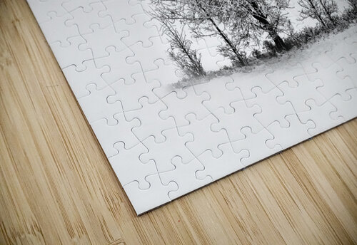Trees BW Kevin MacLellan puzzle