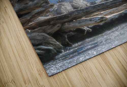 Crusoe Kevin MacLellan puzzle