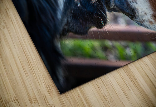 Getting to Know Each Other Kevin MacLellan puzzle