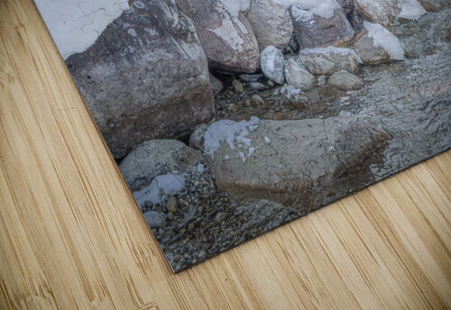 Northern Dog Kevin MacLellan puzzle