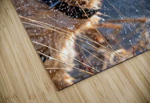 Shakin  All Over Kevin MacLellan puzzle