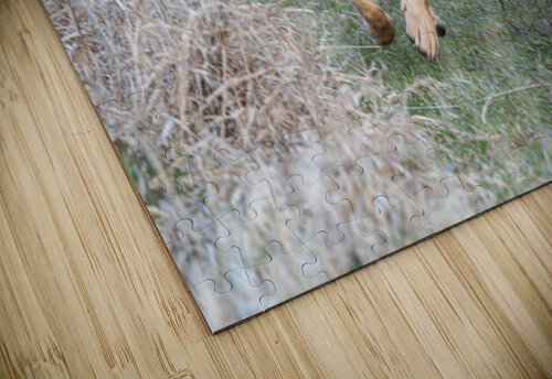 Smiley Kevin MacLellan puzzle