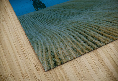 On the Fields Kevin MacLellan puzzle
