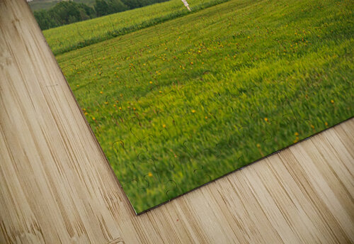 Take Off Kevin MacLellan puzzle