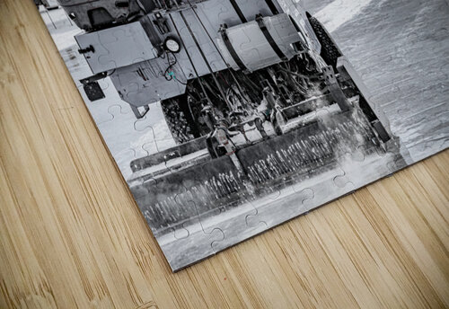 Zamboni 2 Kevin MacLellan puzzle