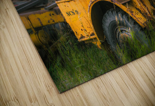 Yellow Beast Kevin MacLellan puzzle