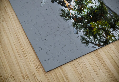 Bald Eagle Kevin MacLellan puzzle