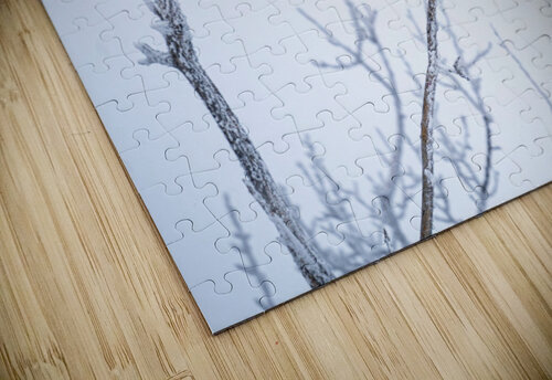 Ready for Takeoff Kevin MacLellan puzzle