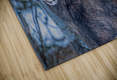 Say Cheese Kevin MacLellan puzzle