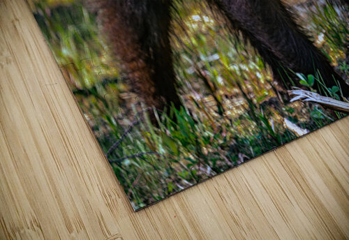 The Claw Kevin MacLellan puzzle