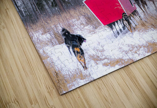 Chasing the Sleigh Kevin MacLellan puzzle