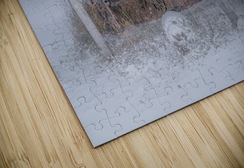 Carriage House Kevin MacLellan puzzle