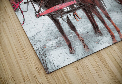 On the pond Kevin MacLellan puzzle