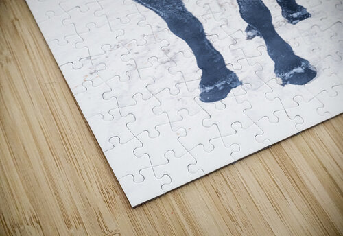 Percherons Kevin MacLellan puzzle