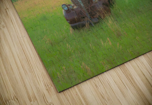 After the Storm Kevin MacLellan puzzle