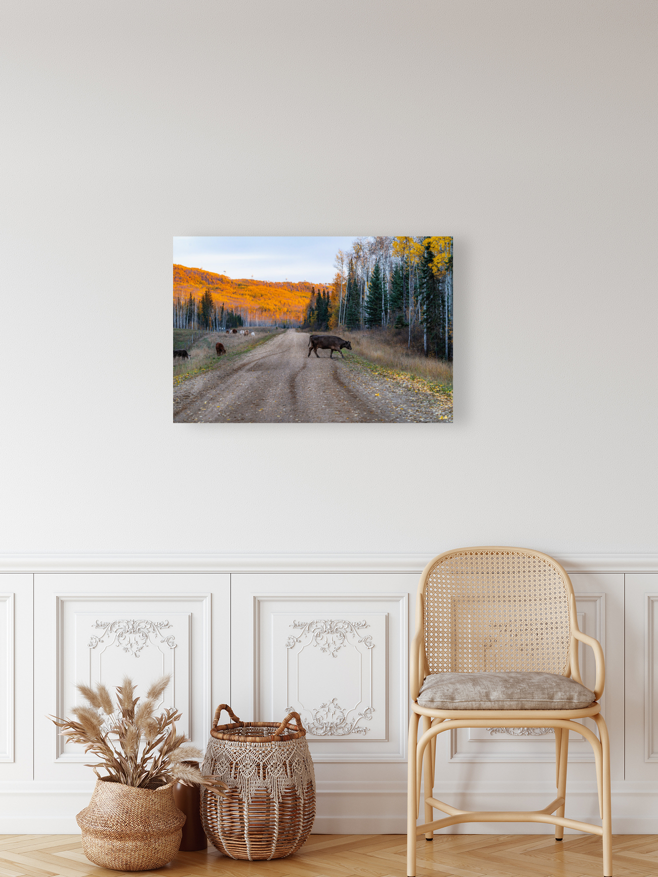 Cow Crossing Reproduction