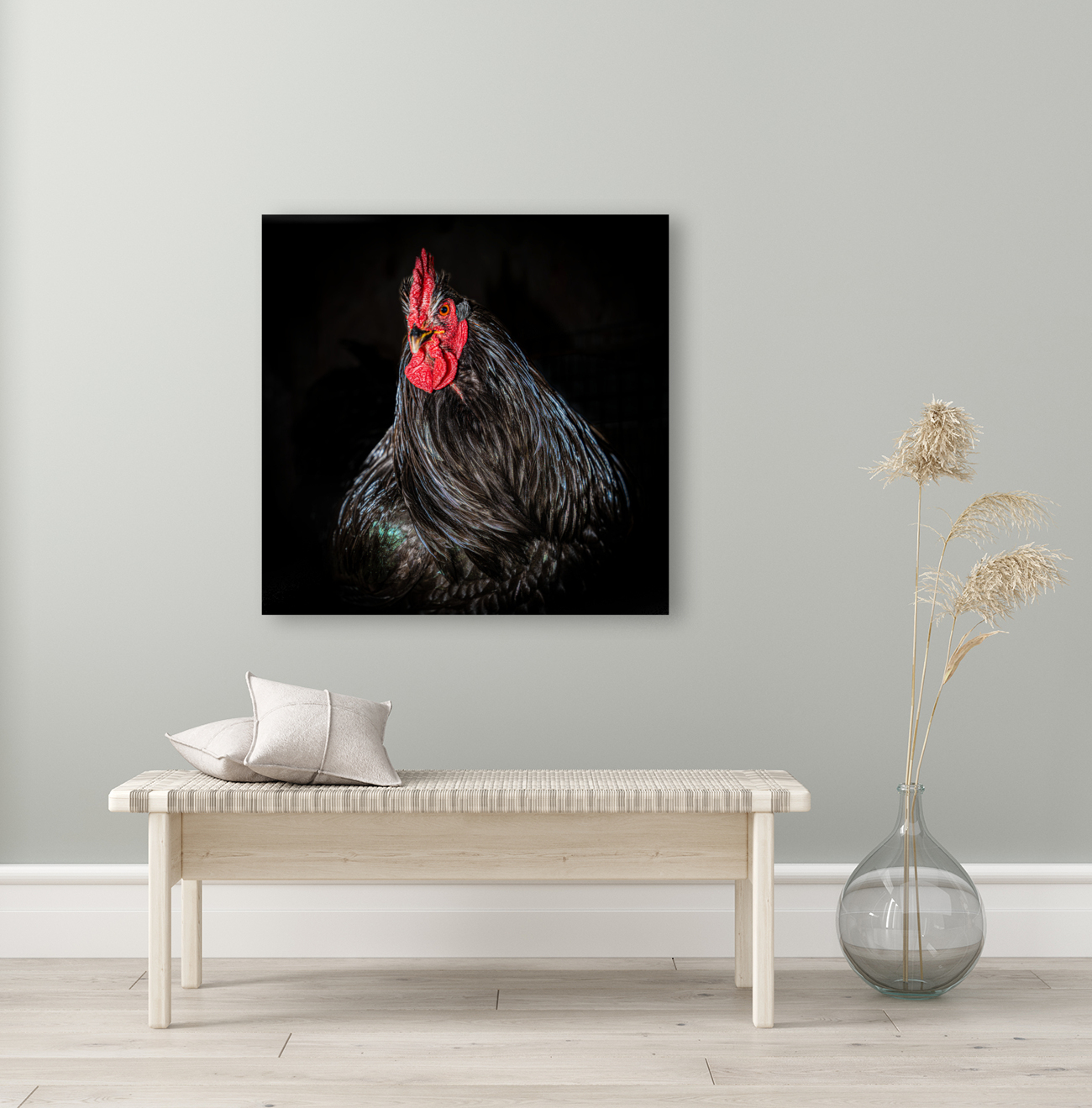 The Rooster Reproduction