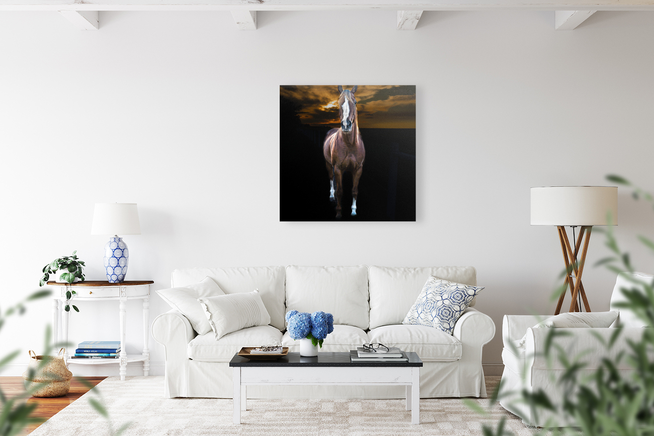 Horse Black Background Reproduction