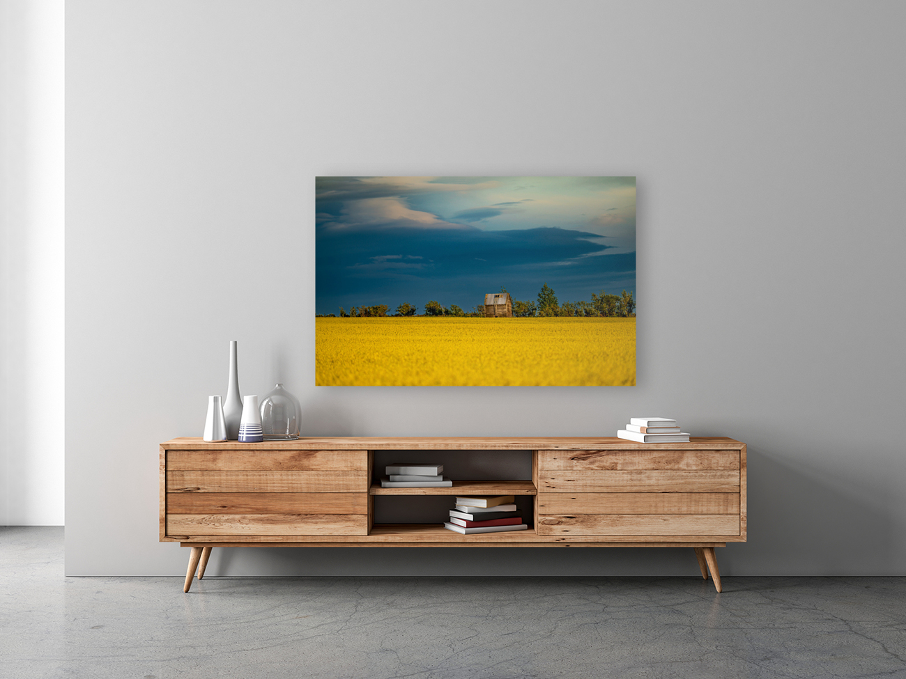 Canola Field Reproduction
