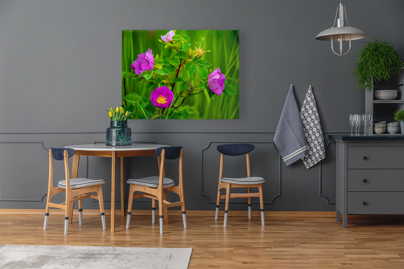 Wild Roses Reproduction