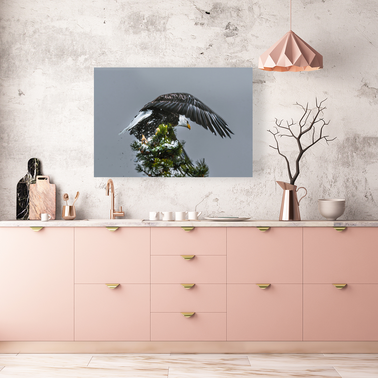 Bald Eagle Reproduction