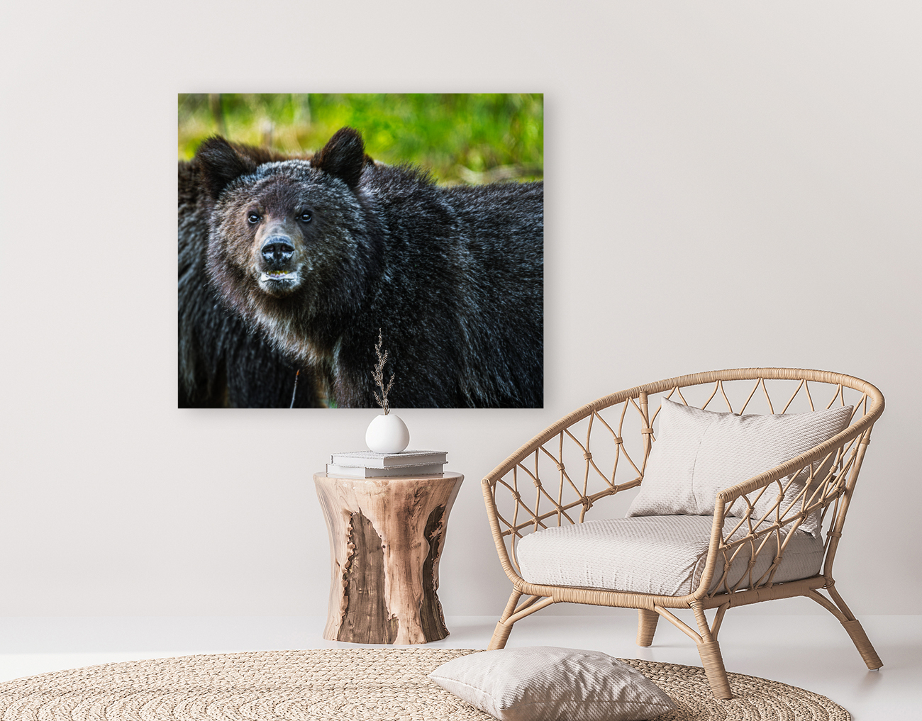 Grizzly Close up Reproduction