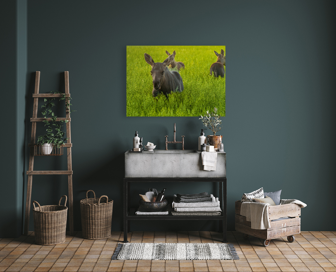 Moose Triplets Reproduction