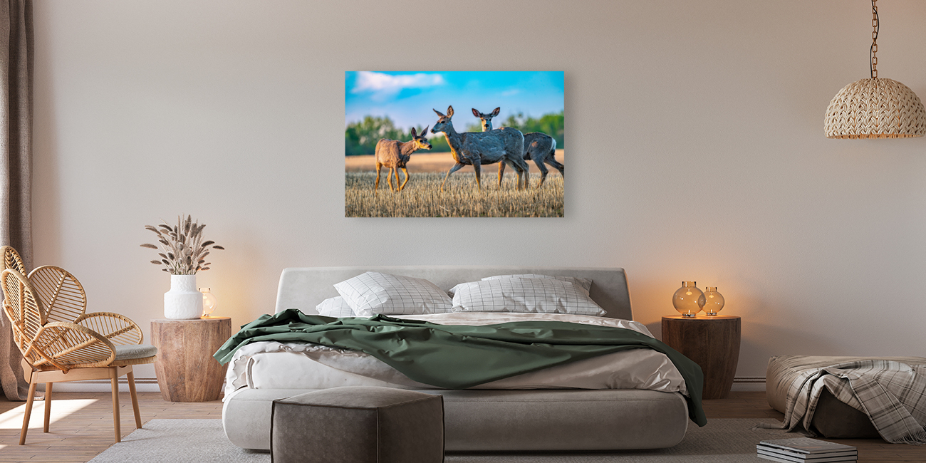 Mule Deer Reproduction