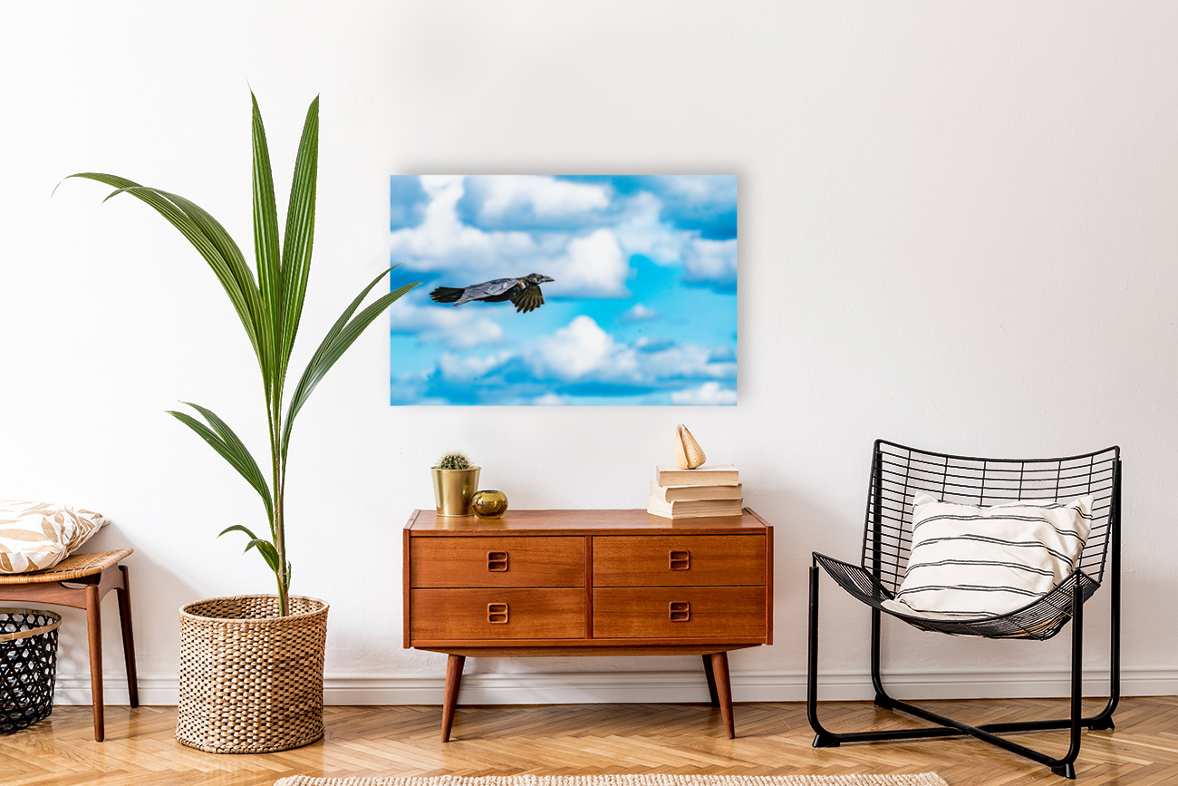Raven in Flight Reproduction
