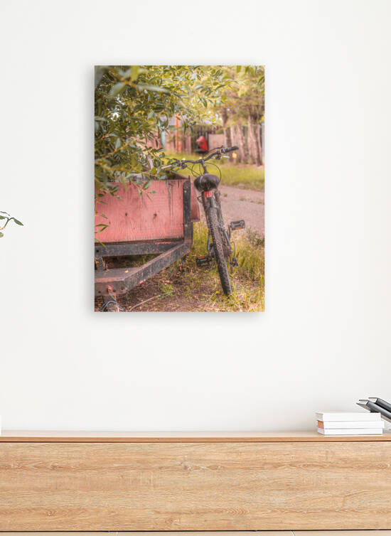 The Back Lane Bicycle Reproduction