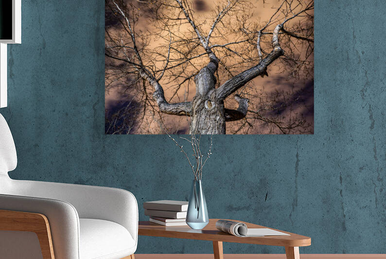 The Tree Reproduction
