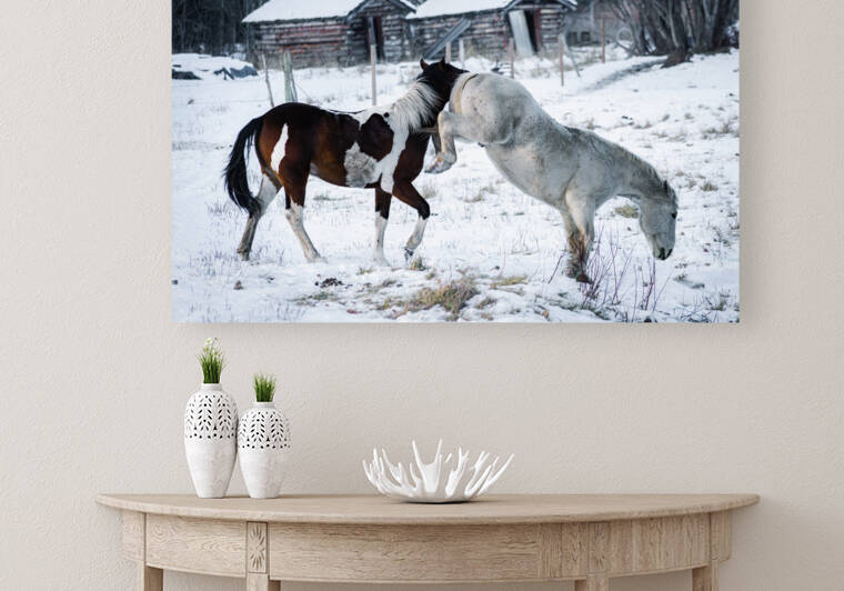 Horse Kicking Reproduction