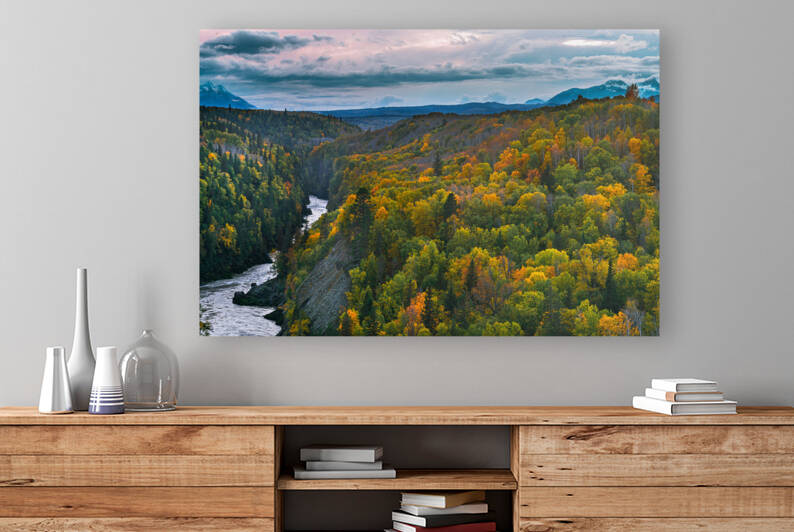 Bulkley River Reproduction