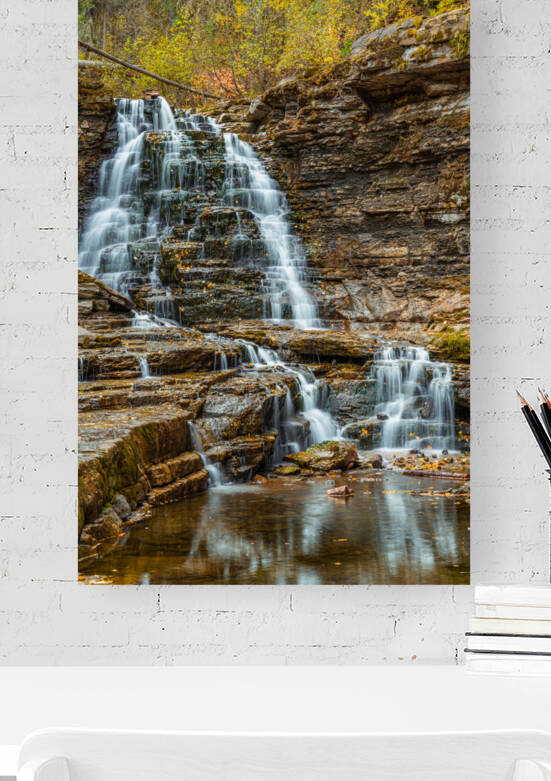 Quality Falls Reproduction