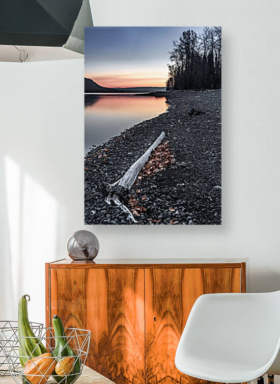 The Shoreline Reproduction