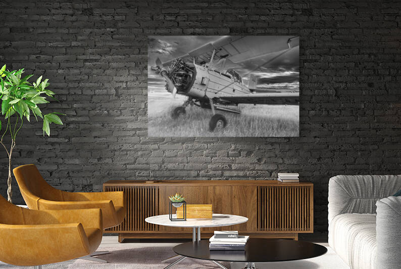 Crop Duster by Kevin MacLellan