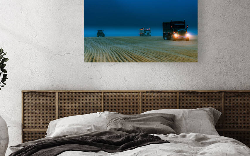 On the Fields Reproduction