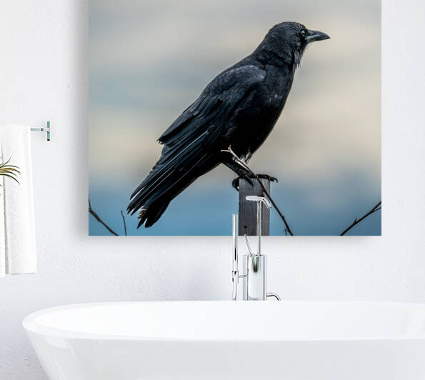 Raven on a Post Reproduction